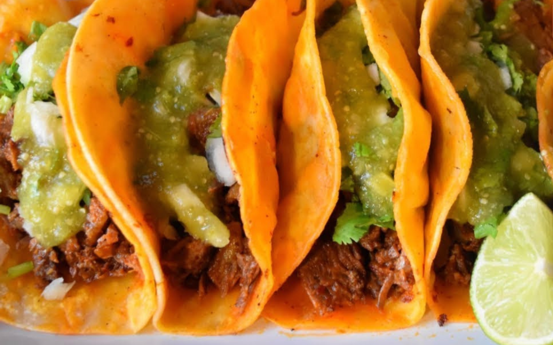 Tacos de birria de chivo servidos con cilantro fresco